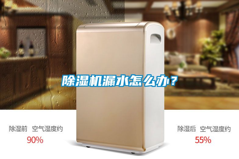 除濕機(jī)漏水怎么辦？
