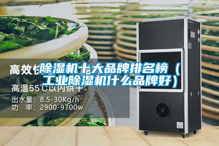 除濕機十大品牌排名榜（工業(yè)除濕機什么品牌好）