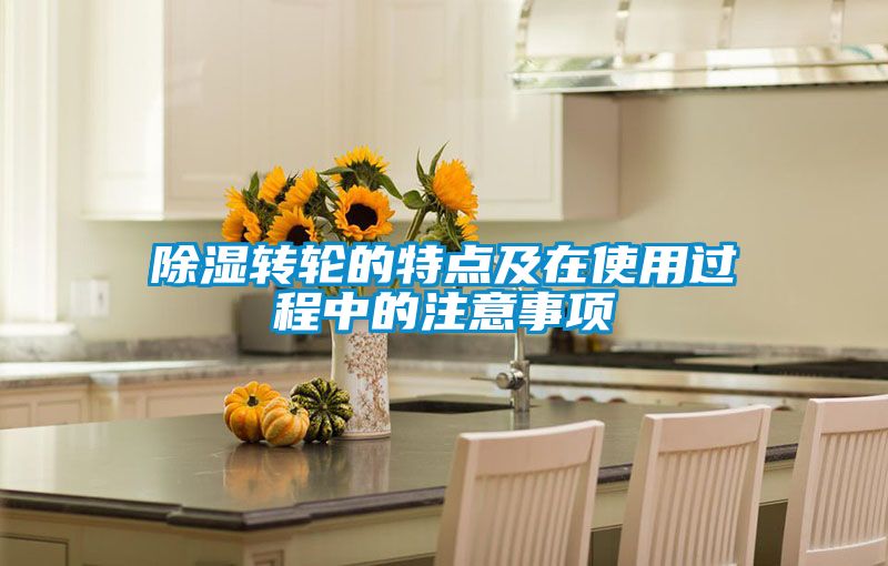除濕轉(zhuǎn)輪的特點(diǎn)及在使用過程中的注意事項(xiàng)