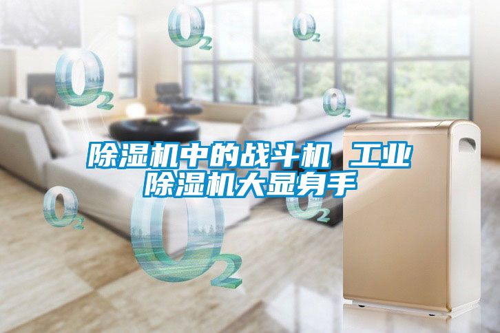 除濕機中的戰(zhàn)斗機 工業(yè)除濕機大顯身手