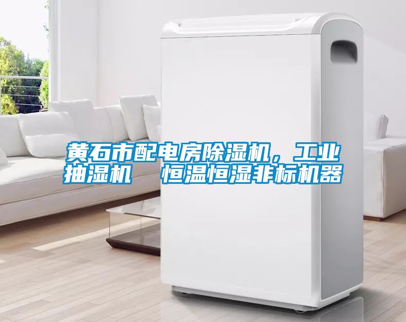 黃石市配電房除濕機，工業(yè)抽濕機  恒溫恒濕非標機器