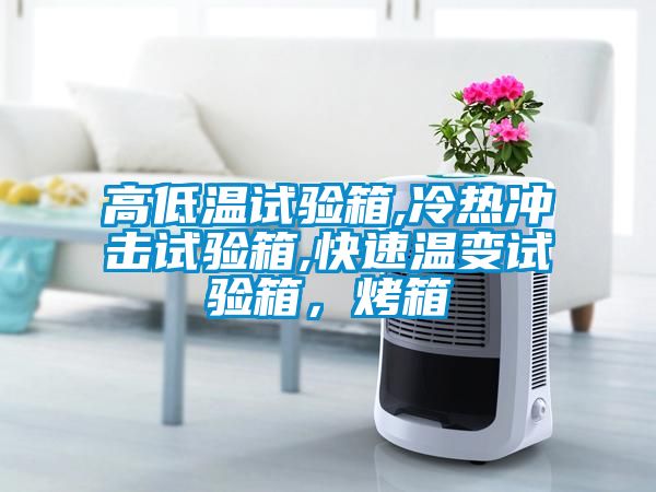 高低溫試驗箱,冷熱沖擊試驗箱,快速溫變試驗箱，烤箱