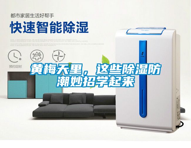 黃梅天里，這些除濕防潮妙招學起來